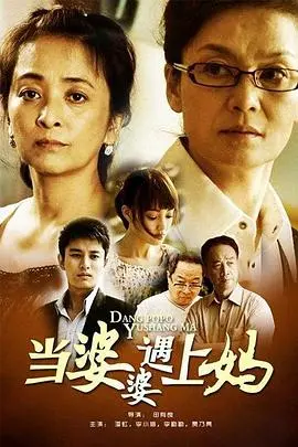 当婆婆遇上妈 海报