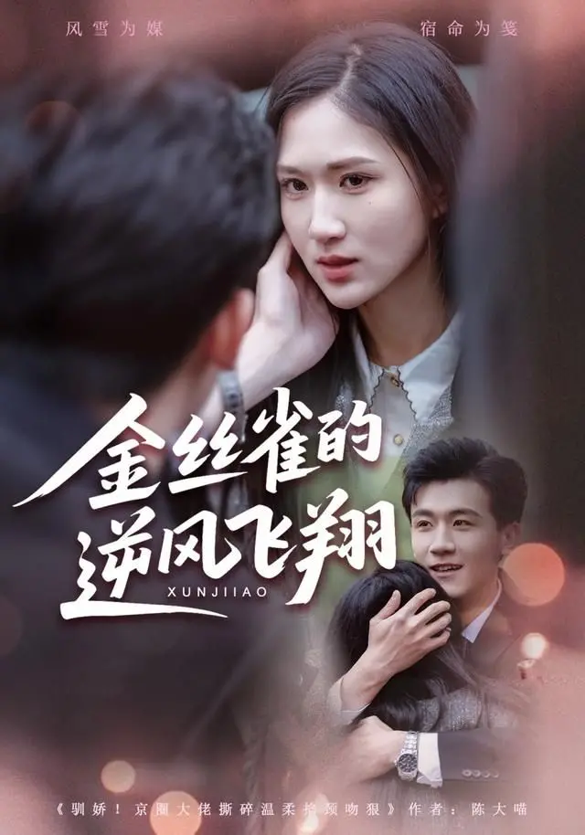 《金丝雀的逆风飞翔》：禁锢中的挣扎与对自由的渴望，一部触动灵魂的女性成长史诗